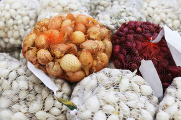 Flower bulbs in a grid. Seeds for planting home and garden plants. Shop selling plants for planting. Preparing for spring gardening.