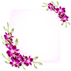 Copy space decorate with sweet colorful tropical Orchids flower frame