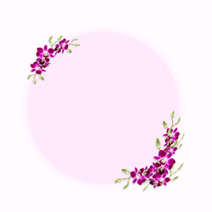Pink circle color for copy space decorated with sweet colorful tropical Orchids frame
