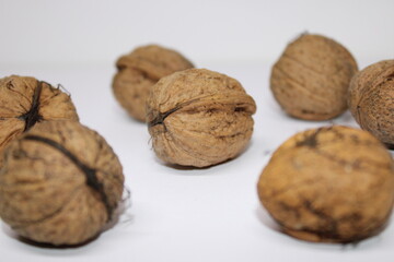 Nüsse Walnuss Juglans regia