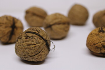 Früchte des Walnussbaums Juglans regia