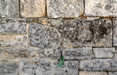 The texture of the old wall. Vintage brick back. The wall is made of shell rock of various rectangular shapes.