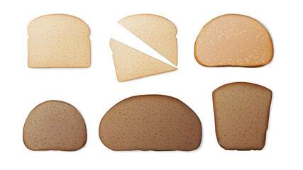 A set of slices of different types of bread. Realistic isolated on white background vector illustration