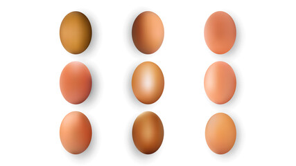 Set of Realistic Dark and Light Brown Whole Chicken Eggs. 3d Collection Vector Illustration of Eggs