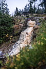 Mystische Stimmung am Harzer Oderteich.