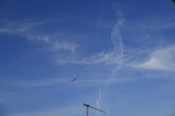 crane and sky
