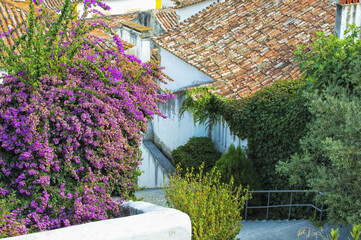 Fototapeta premium Streets, Obidos, Estremadura and Ribatejo, Portugal