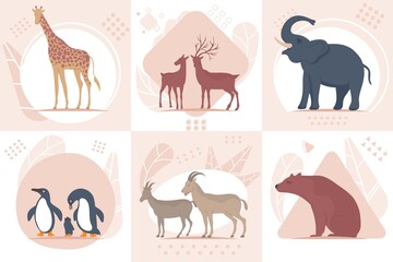 Wild Animals Design Concept