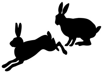 Hares in the set. The hare sits and the hare jumps. © Наталья Выгузова