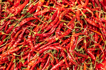 Fototapeta premium Dried red, hot red peppers or dried chillies pepper on the big market
