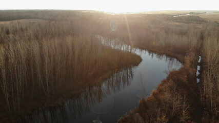 Aerial view of the river with dry trees on the banks in autumn. Forest ecosystem, healthy environment. Ukraine, Europe