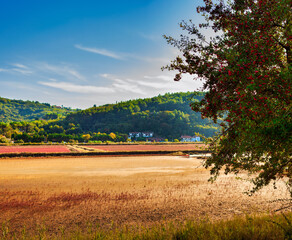 View of the Strunjan nature park, Slovenia