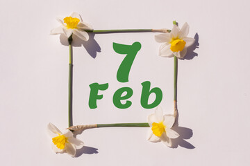 February 7th. Day 7 of month, calendar date. Frame from flowers of a narcissus on a light background, template. Top view. Winter month, day of the year concept