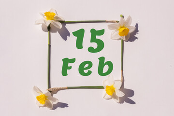 February 15th. Day 15 of month, calendar date. Frame from flowers of a narcissus on a light background, template. Top view. Winter month, day of the year concept