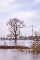 Foto auf Leinwand Vertical frame of winter barren trees sticking out of the high level river IJssel water that flooded the floodplains with sustainable electricity windmills in the background © Maarten Zeehandelaar