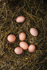 Chicken eggs in nest. Easter, spring or eco food concept. Top View, copy space