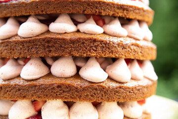 fresh summer strawberry cake beautifully decorated
