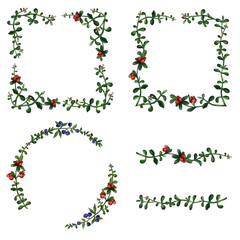 Set of frames with watercolor crowberry and blueberry