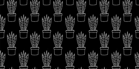 Seamless pattern with white contours of Potted Sansevieria plants isolated on black. Vector illustration. Home plant. Hand drawn simple element of interior. For greeting card, wrapping, book, textile 
