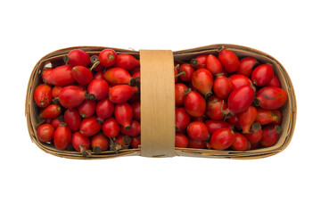 Basket full of red dogroses isolated on the white background.