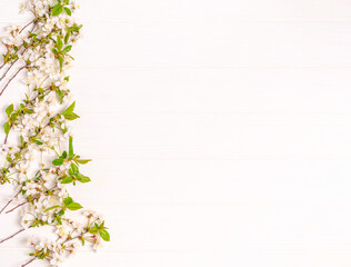 Blossoming cherry branches on a white background. Flat lay, postcard blank, space for text, copy space. View from above.