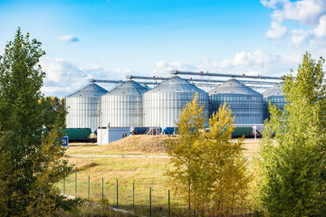 Obraz premium Silver silos on agro manufacturing plant for processing drying cleaning and storage of agricultural products, flour, cereals and grain. Large iron barrels of grain. Granary elevator