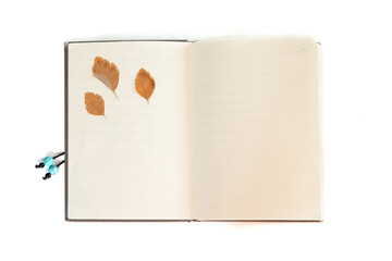 Yellow dried autumn cottonwood leaf in the notebook isolated on the white background. Herbarium. Autumn background.