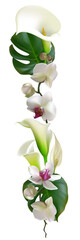 Flowers. Floral background. Callas. White orchids. Green leaves. Tropical flowers.