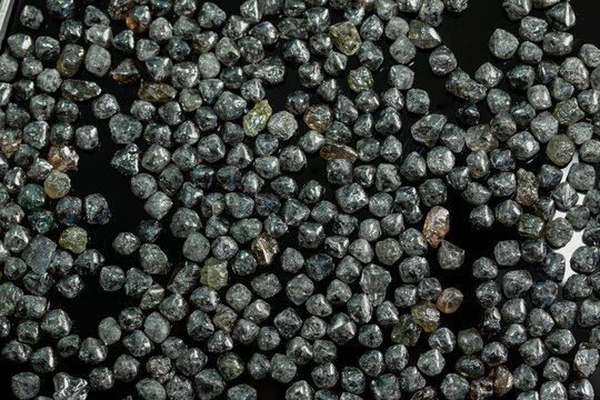 Natural Rough diamonds on black background sorted by size and shapes . High quality photoNatural 