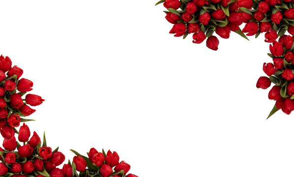 Red floral background Royalty Free Vector Image