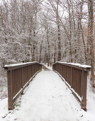 Braune Holzbrücke, die in den Wald führt
