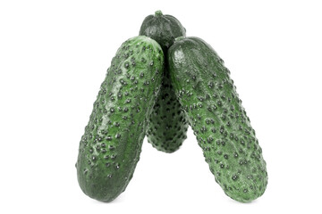three green fresh cucumbers isolated on white background.