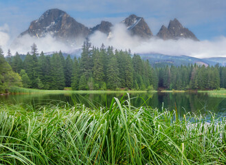 small lake in the green mountain valley