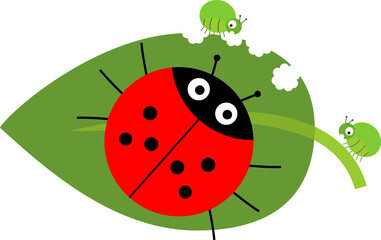 Biological control of aphids. Stylized cute cartoon red ladybug on green leaf with aphids in flat style isolated on white background