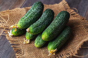 cucumbers on the wooden background