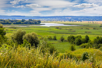 Fototapeta na wymiar Summer landscape with trees and thickets of grass on the plain and the river in the distance