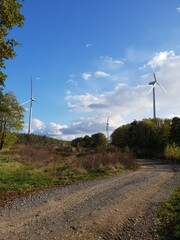 Fototapeta premium wind turbines farm