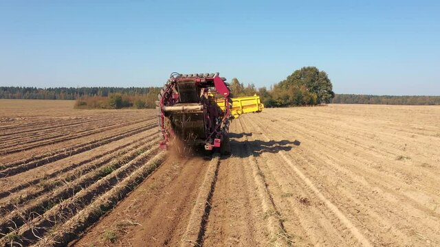 Tractor Machine Combine Harvests Ripe Potatoes From A Rural Agricultural Field