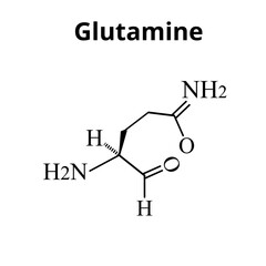 The amino acid Glutamine. Amino acid glutamine chemical molecular formula. Vector illustration on isolated background