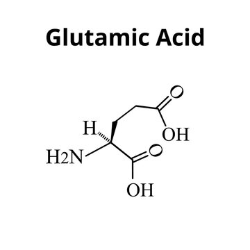 Glutamic acid is an amino acid. Chemical molecular formula glutamic acid amino acid. Vector illustration on isolated background