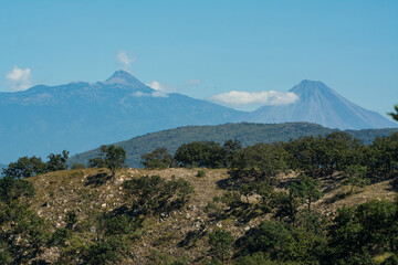 Fototapeta premium el algodonal