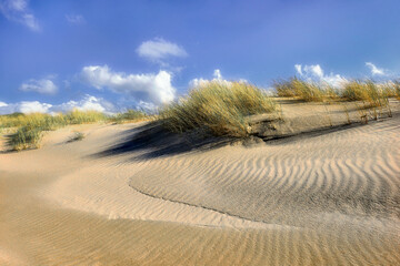View of the coastal dunes of the Baltic Sea, Poland, Łeba	
