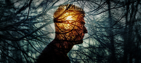 Head of a man on background of trees in forest. Concept on psychology, psychiatry, depression. The...