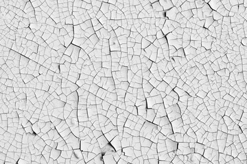 White peeling paint on the wall. Old concrete wall with cracked flaking paint. Weathered rough...