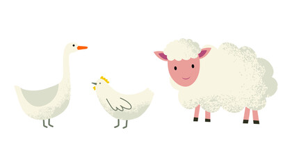 Lamb. Domestic bird. Chicken and goose.Hand drawing illustration. Flat illustration