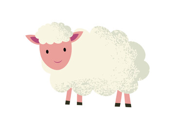 Lamb. Hand drawing illustration. Flat illustration