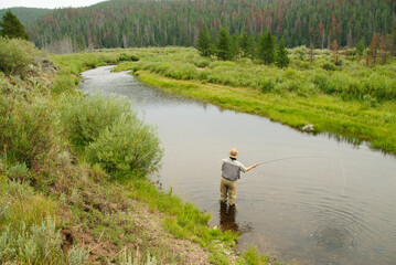 Fly Fishing Wyoming.  