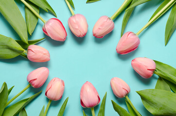 Spring Flowers  composition. Tulip flowers on pastel blue background. Valentines day, mothers day, womens day concept. Top view, flat lay, copy space.