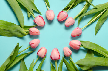 Spring Flowers  composition. Tulip flowers on pastel blue background. Valentines day, mothers day, womens day concept. Top view, flat lay, copy space.