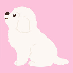 Flat colored simple and adorable white Maltese dog sitting in side view illustration